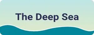 The Deep Sea 深海场景按钮