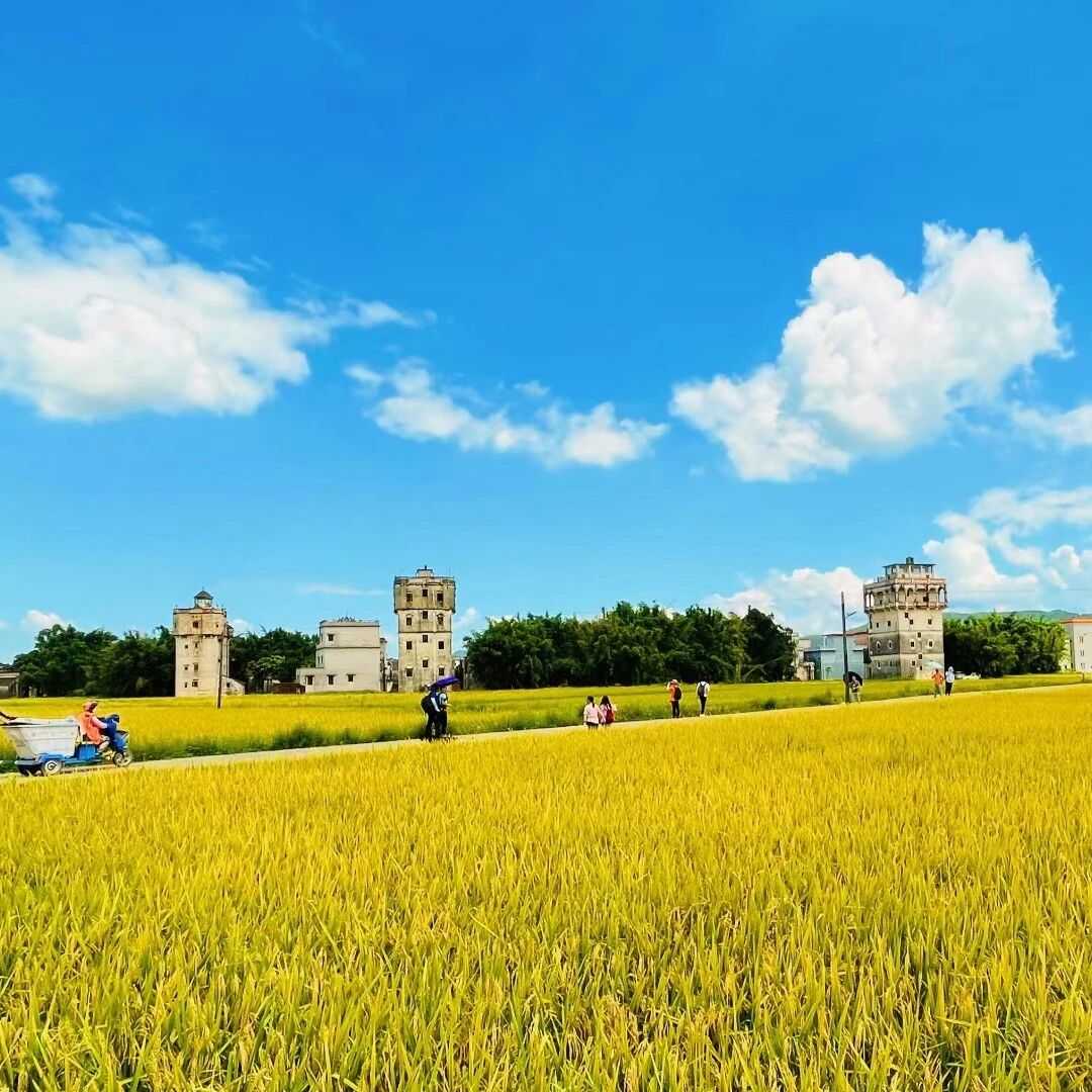 田野与碉楼风景配图:寓意扎实耕耘与长远视野