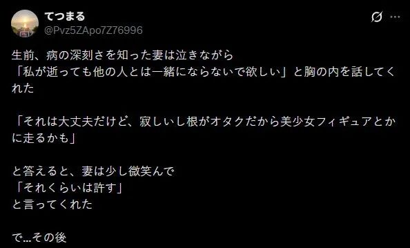 日文推文截图，内容为网友与病重妻子的对话