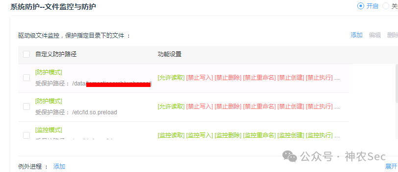 系统文件监控与防护配置