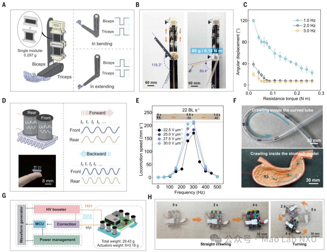 图4：基于SBE人工肌肉的仿生机械臂与软体机器人应用演示