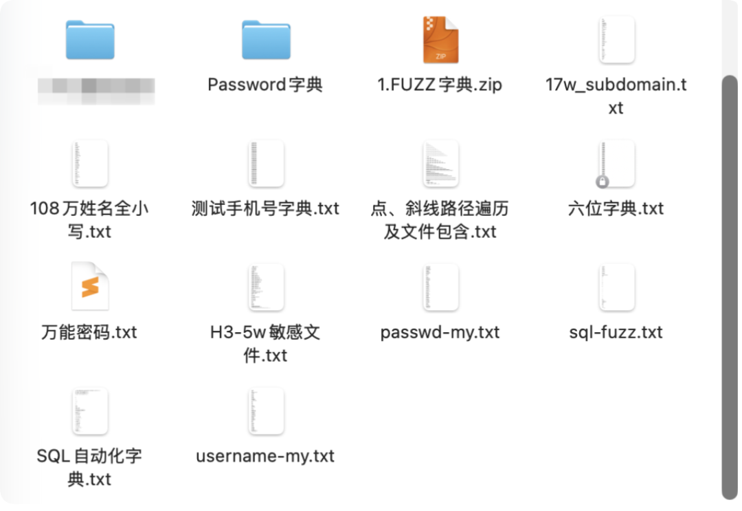 敏感文件扫描字典文件列表截图