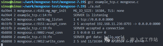 使用gcc编译TCP服务端示例代码并运行的终端输出截图
