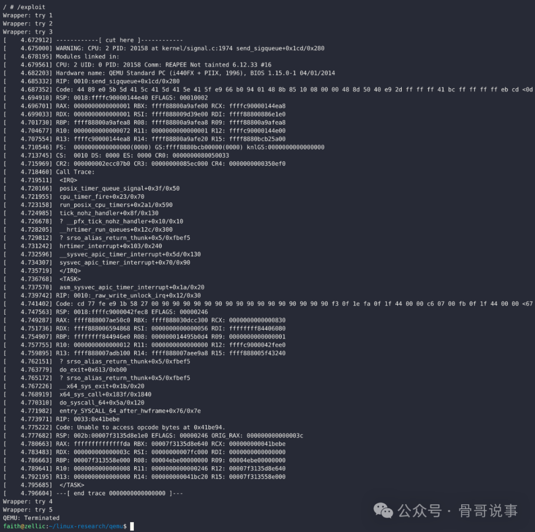 Linux内核崩溃日志截图