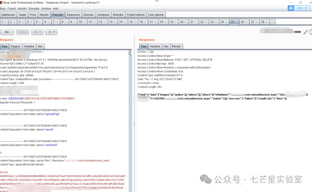 Burp Suite Professional界面捕获的上传请求和响应