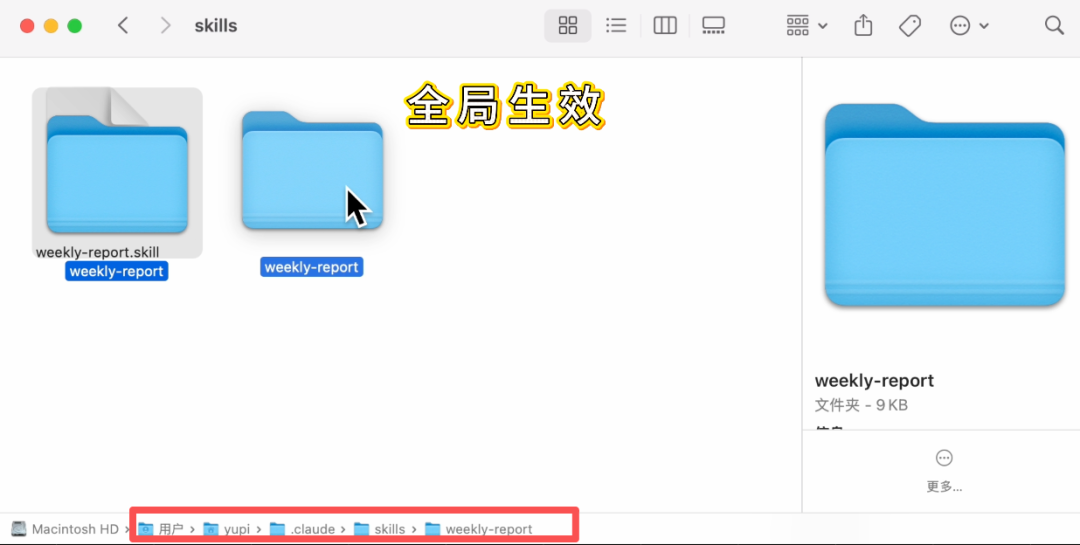 全局技能安装目录