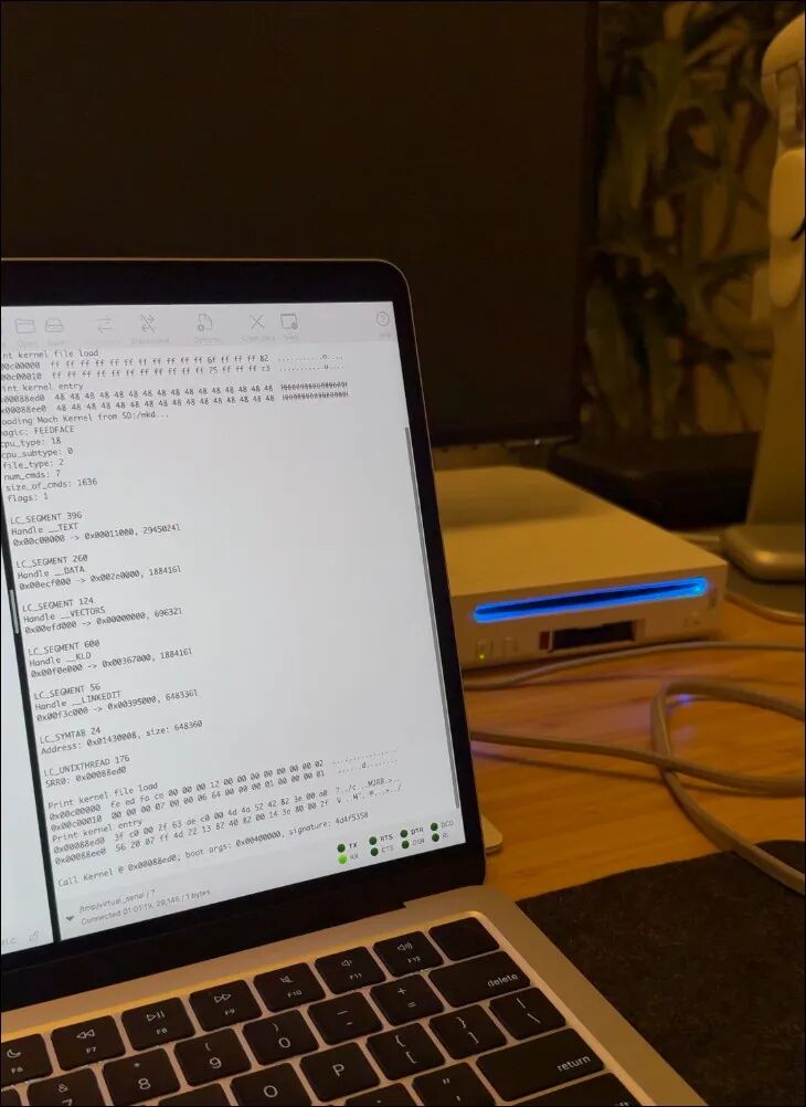 调试过程中的终端日志界面