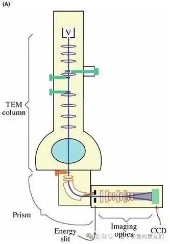 柱后成像过滤器示意图