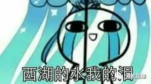 “西湖的水我的泪”悲伤表情包