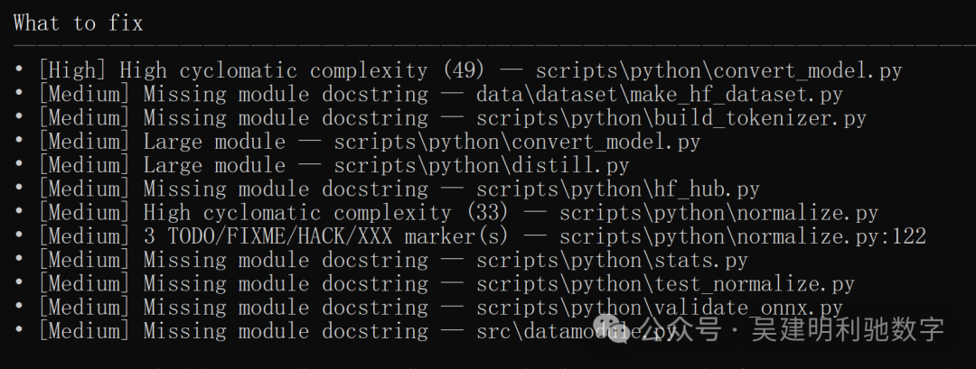 终端中的静态分析结果列表