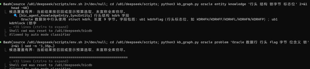 BICDB 知识库检索 Oracle 行头结构的终端输出