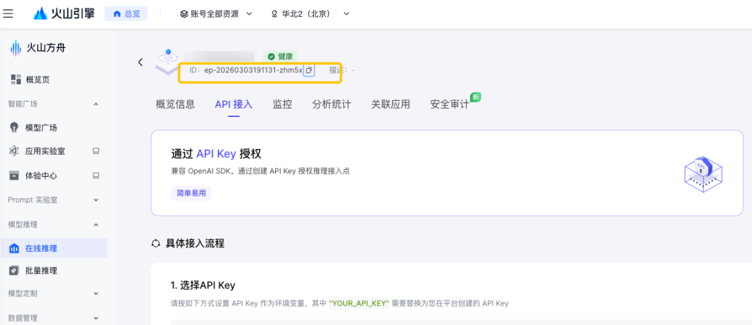 火山引擎接入点概览页面，显示接入点 ID