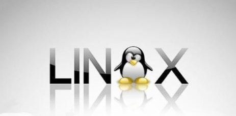 Linux Logo with Tux Penguin