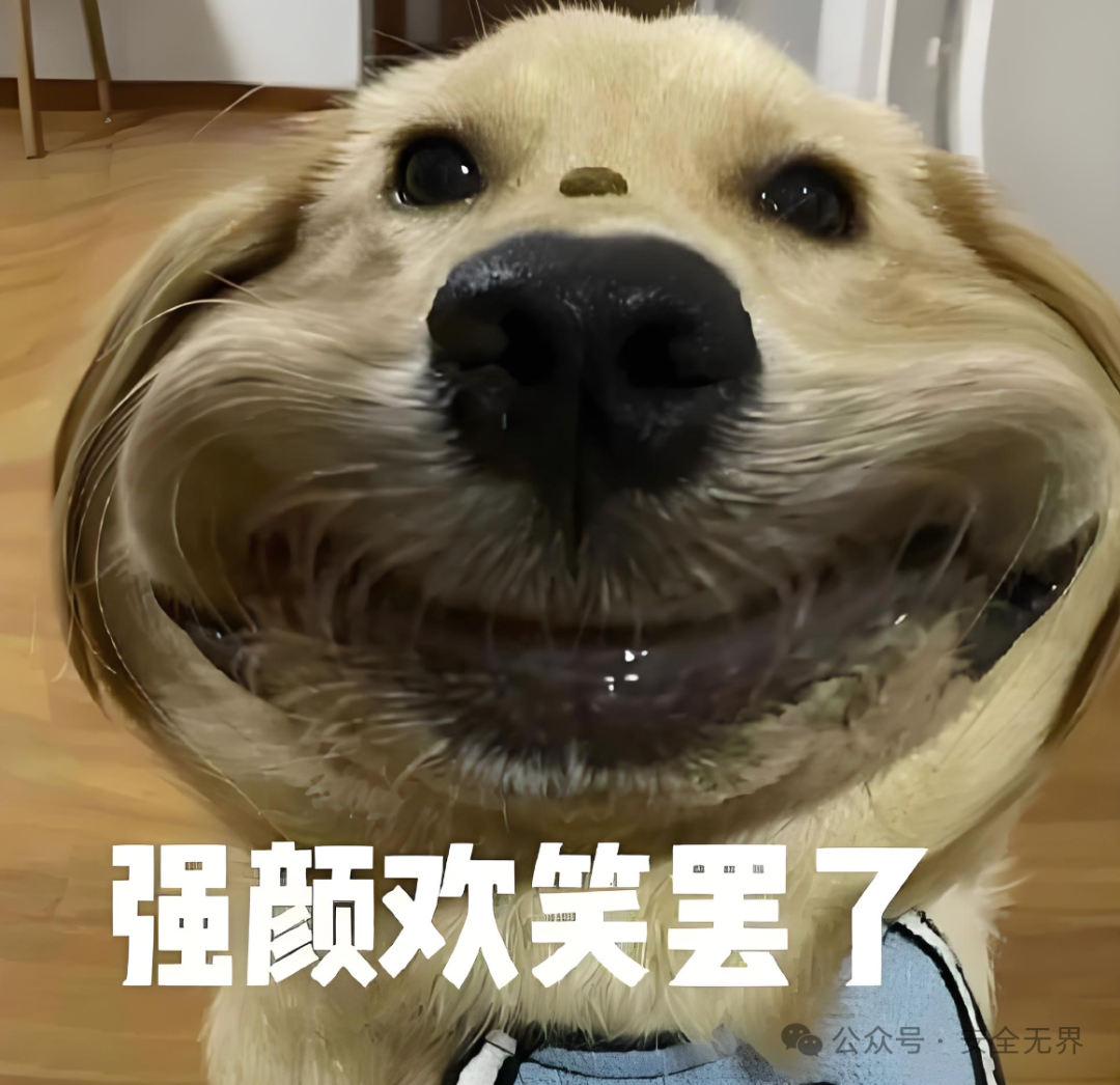 一张强颜欢笑的狗狗表情包