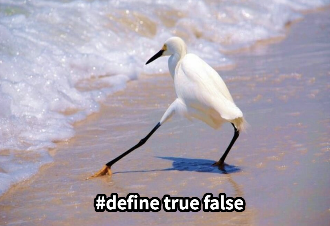 沙滩上写着“#define true false”的白鹭