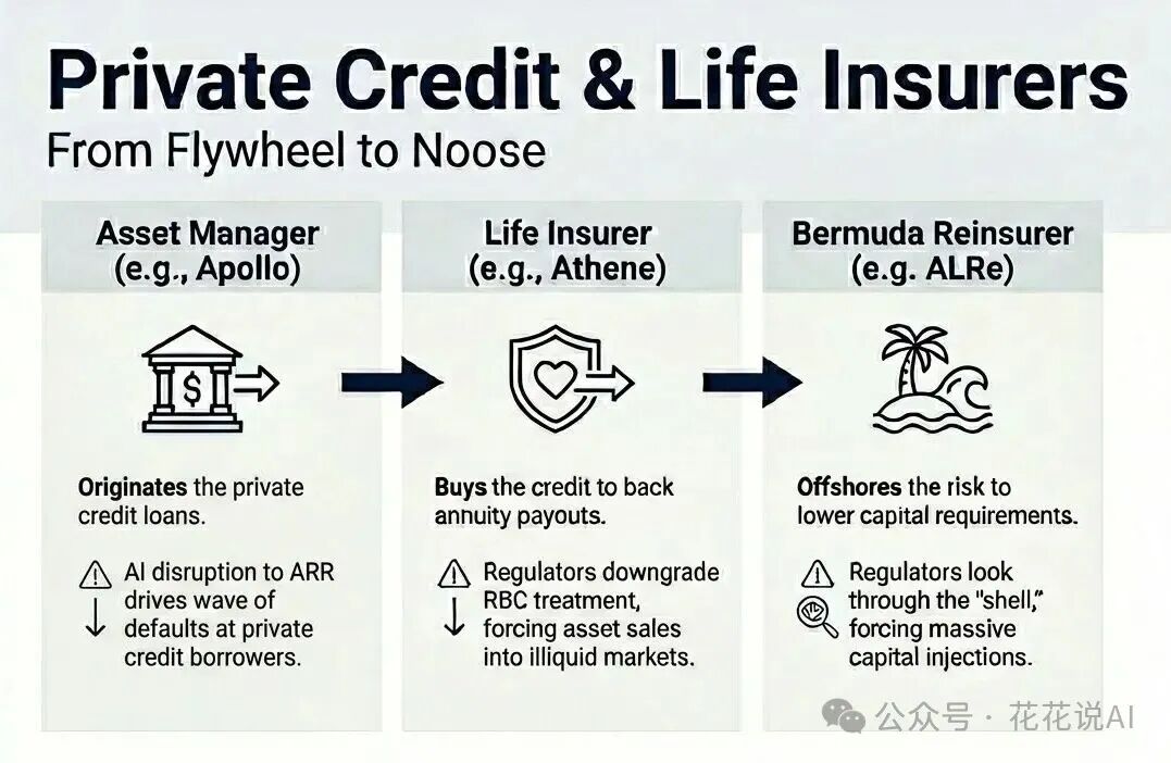 展示私募信贷、寿险公司与离岸再保险风险传导的图表