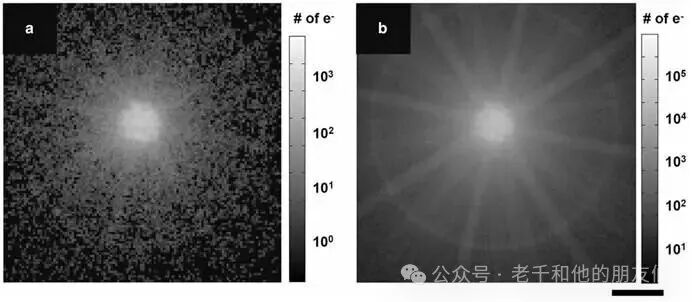 不同曝光时间下的铁酸铋会聚束电子衍射花样