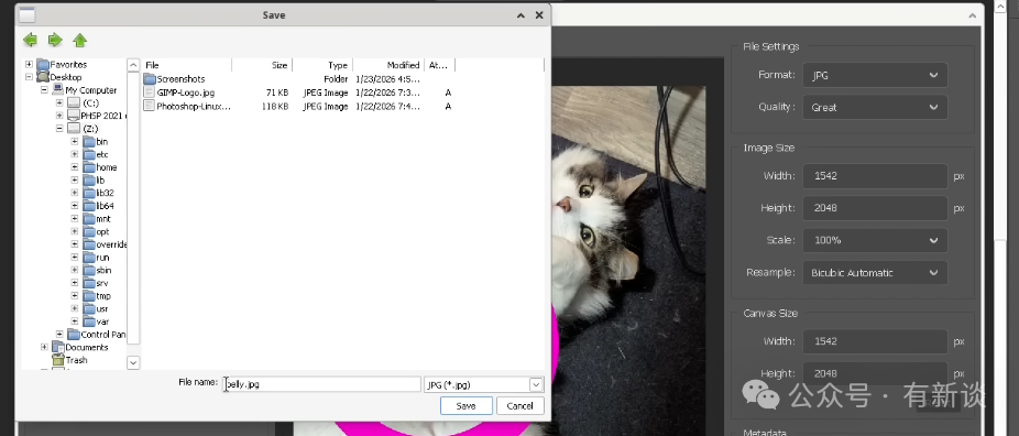 保存对话框指向虚拟Windows目录