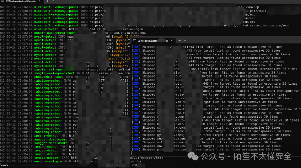 自动化漏洞扫描工具运行日志输出