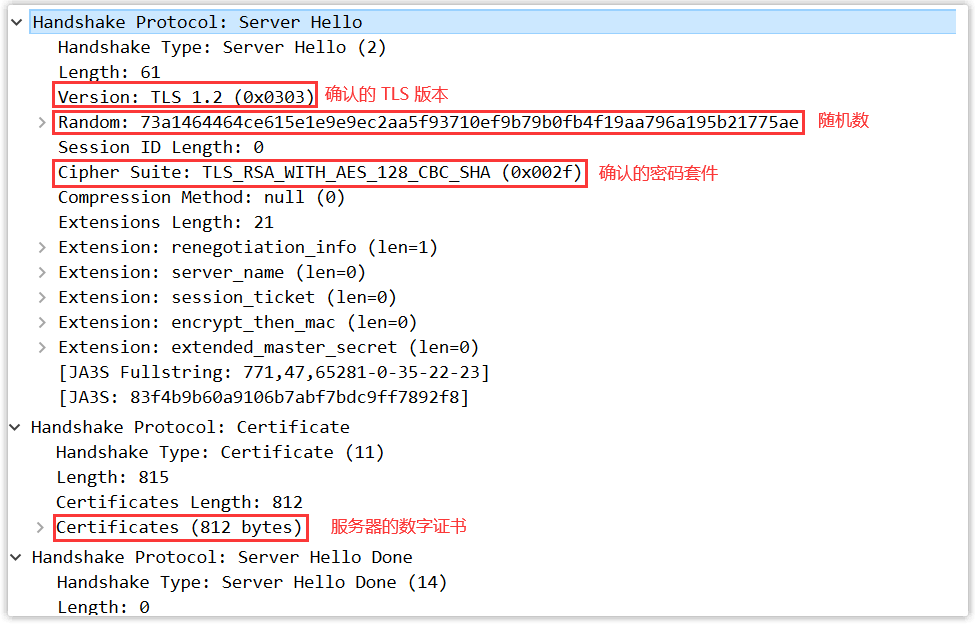 Server Hello报文结构示例