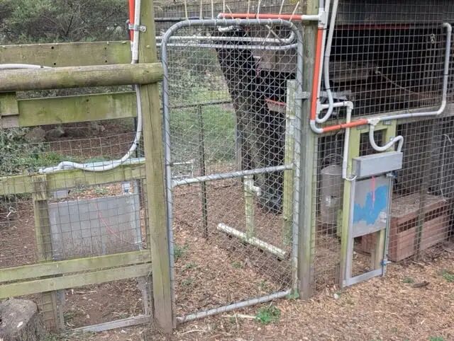 户外鸡舍围栏与自动门结构