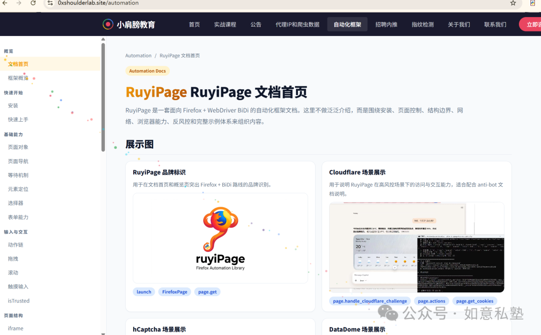 ruyiPage项目文档首页截图