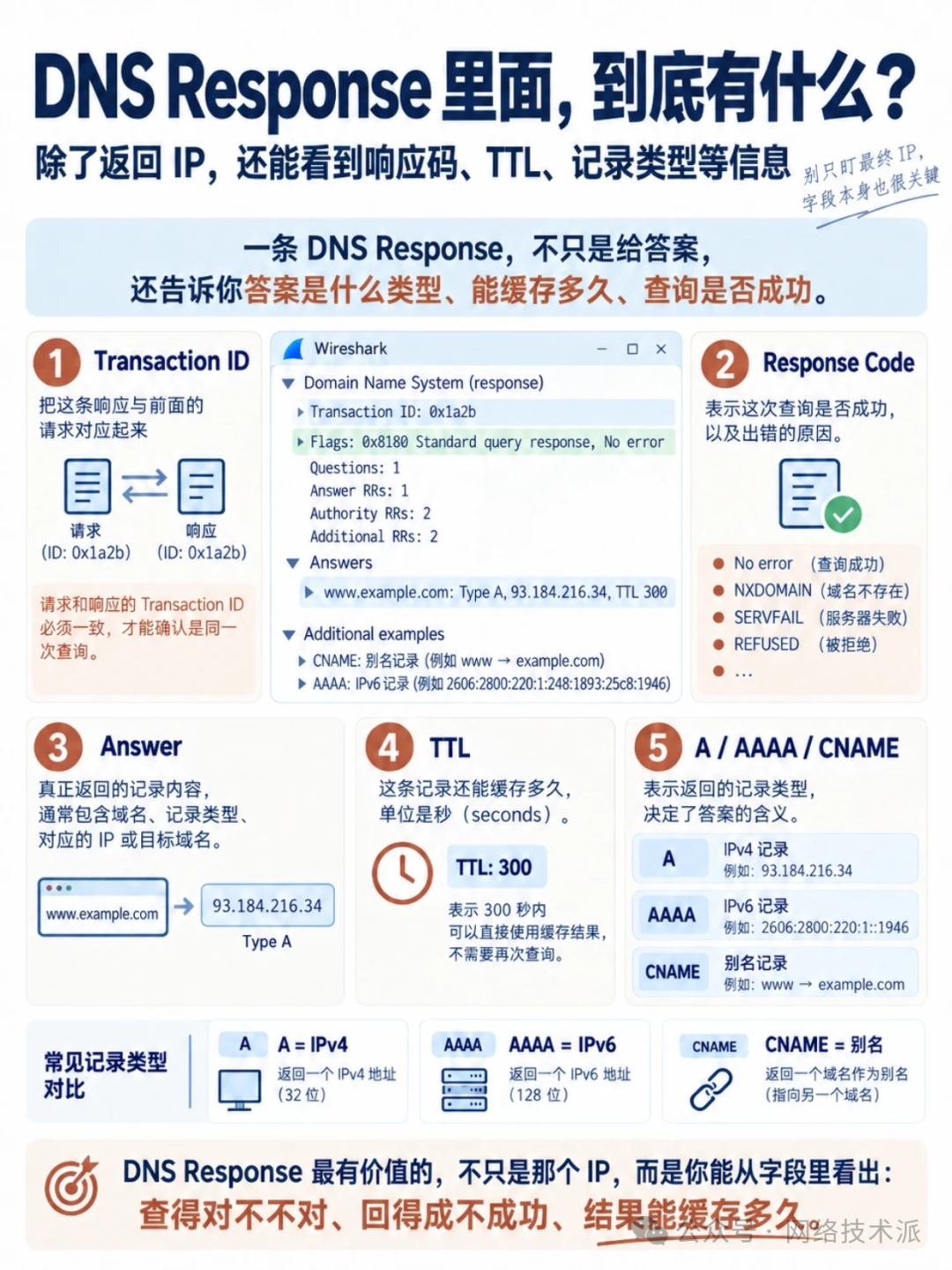 DNS Response报文关键字段解析