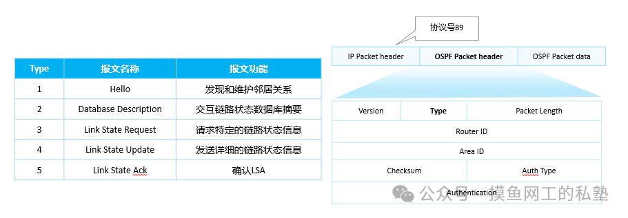 OSPF五种报文类型与格式结构图