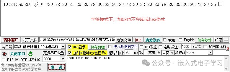 字符模式下输入“0x01”的显示