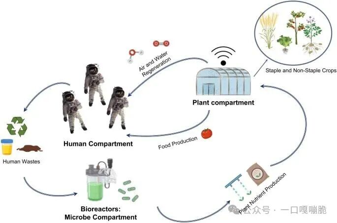 太空站闭环生命支持系统示意图