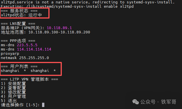 显示xl2tpd服务配置与状态的终端界面
