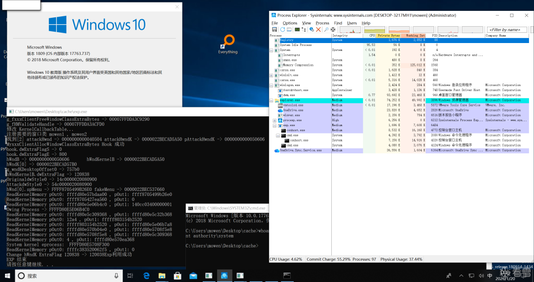 Windows调试与进程监控界面