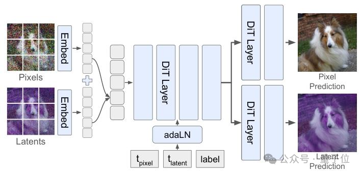 Latent Forcing方法架构图：展示了像素和潜在表示的嵌入与预测流程