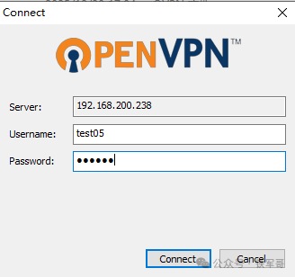 输入TOTP动态码作为密码