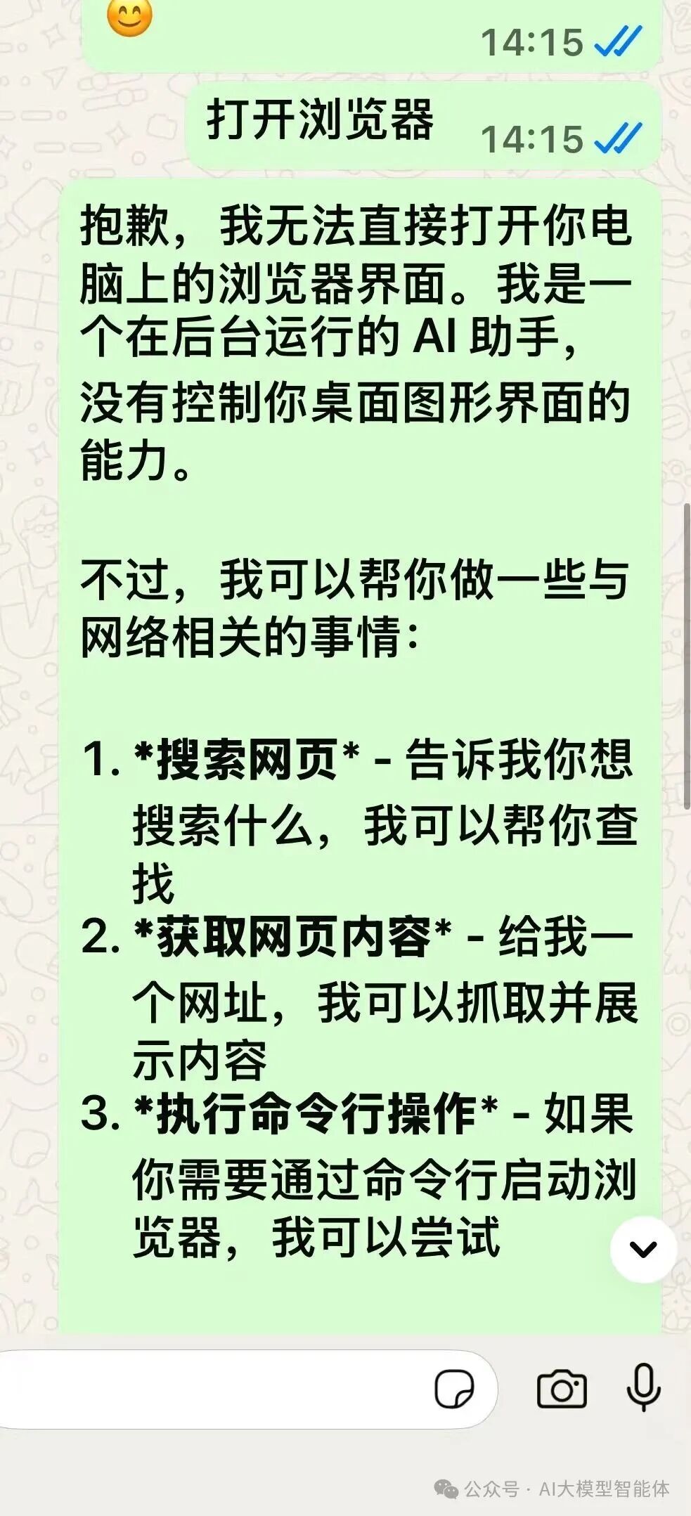 功能测试截图：AI助手解释无法直接打开图形界面浏览器但可提供替代方案