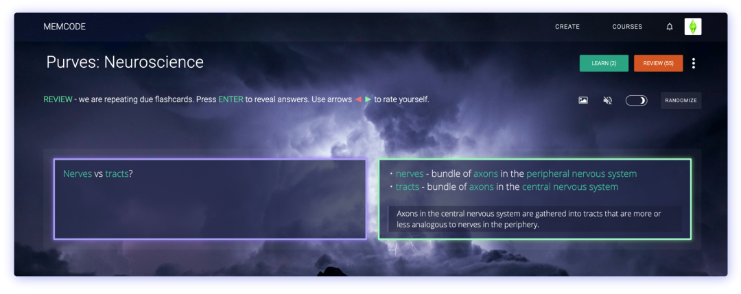 Memcode深色主题复习界面，展示神经科学闪卡