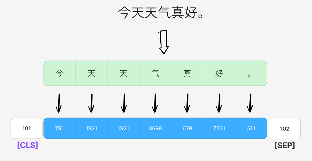 CLS特殊标记在序列中的位置
