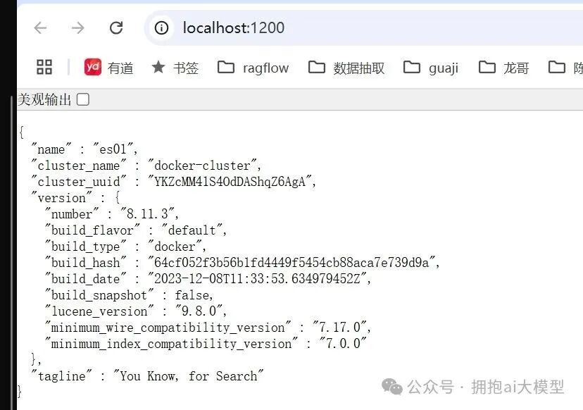 浏览器访问本地Elasticsearch返回集群信息JSON