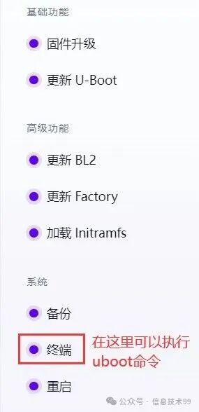 Web界面中的终端入口