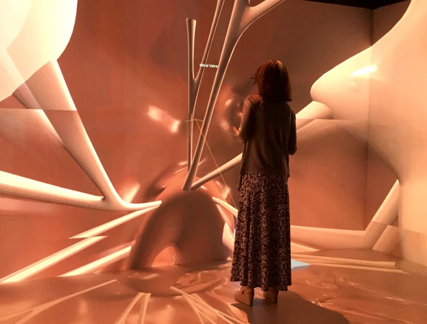 沉浸式艺术装置中的人体背部视角