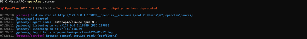 OpenClaw网关成功启动日志