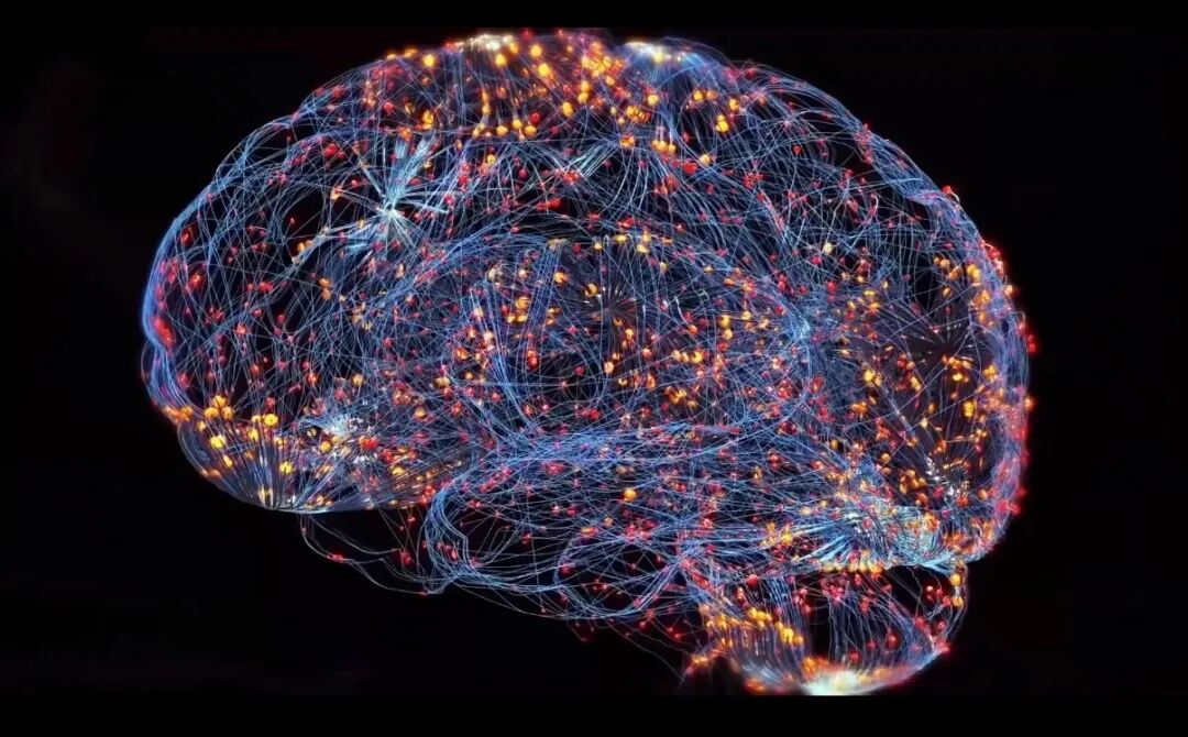 发光的脑部神经网络活动示意图