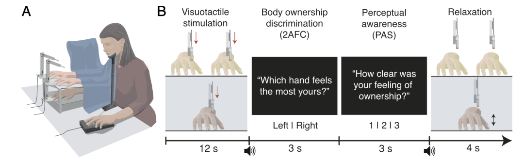 实验装置与试次流程图