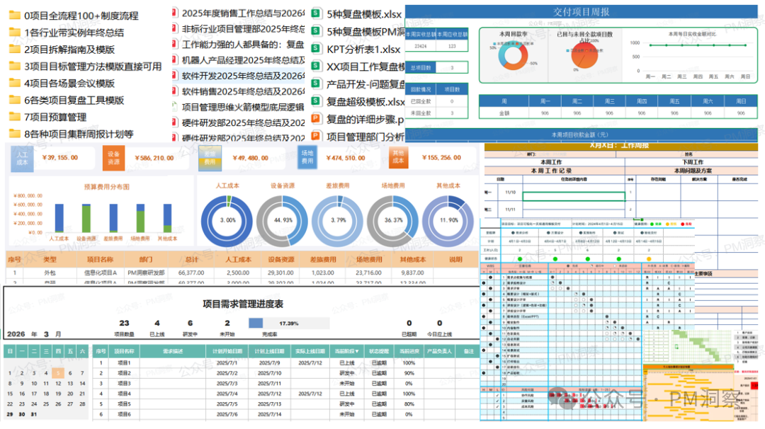 项目管理综合报表示例