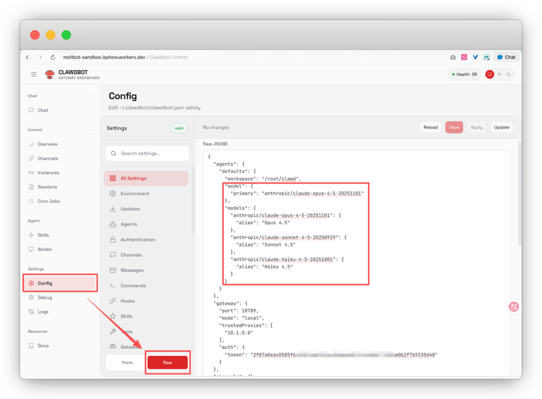 OpenClaw 配置编辑界面 (Raw 模式)