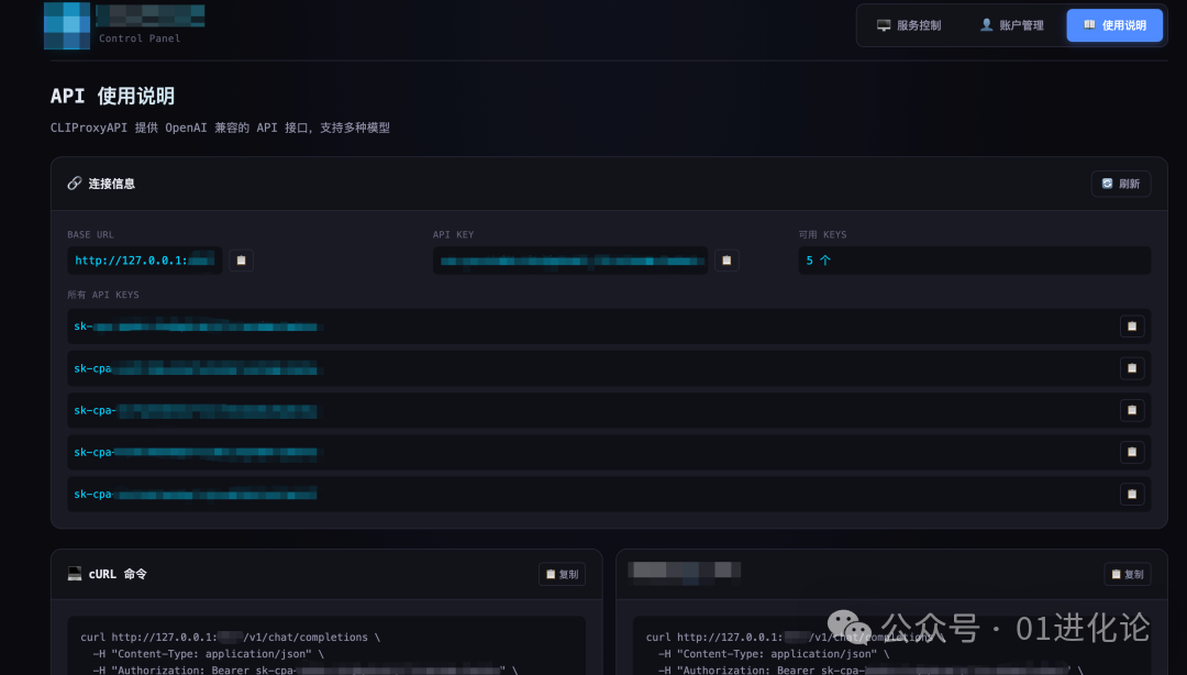 API使用说明界面，展示连接信息和调用示例