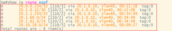 交换机show ip route ospf输出,通过OSPF学习到的路由条目