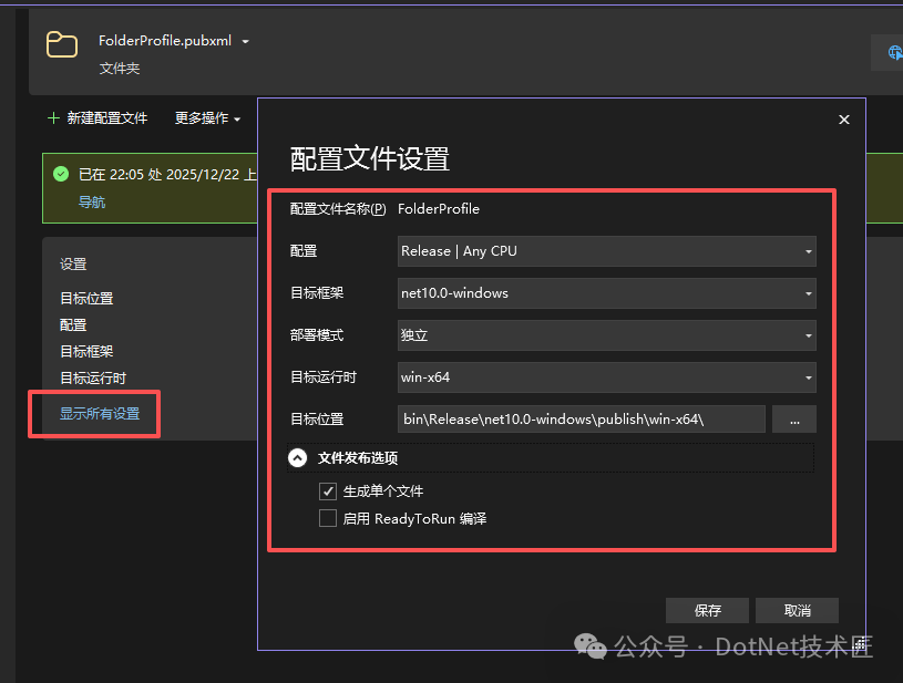 Visual Studio 发布配置文件设置界面